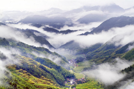 明化币价格波动与市场解析